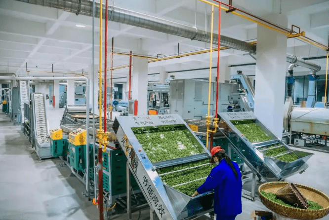 浙江省湖州市城乡供气一体化试点探索助农纾困共富新路径